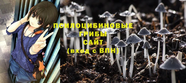 прущие крисы Абинск