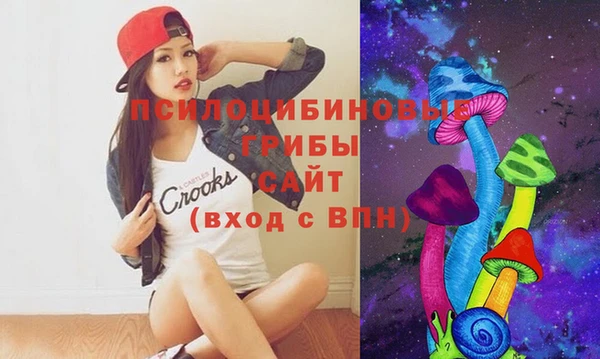 прущие крисы Абинск
