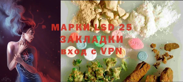 винт Пересвет